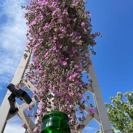 I Trulli Dei Nonni Evelin Villa Martina Franca Exterior foto