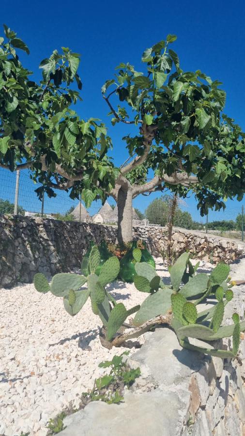 I Trulli Dei Nonni Evelin Villa Martina Franca Exterior foto